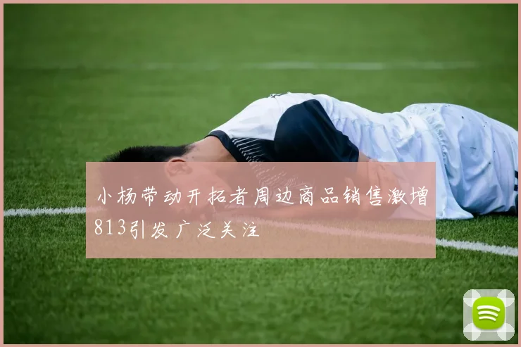小杨带动开拓者周边商品销售激增813引发广泛关注