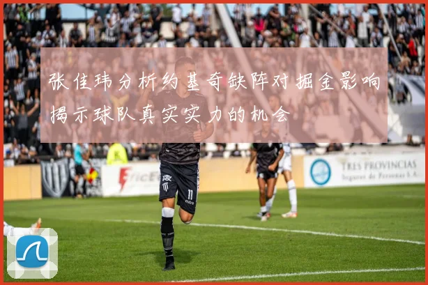 张佳玮分析约基奇缺阵对掘金影响揭示球队真实实力的机会