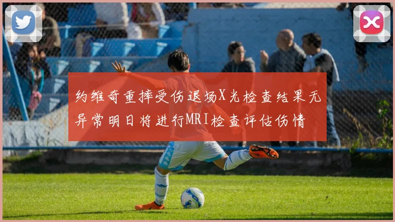 约维奇重摔受伤退场X光检查结果无异常明日将进行MRI检查评估伤情