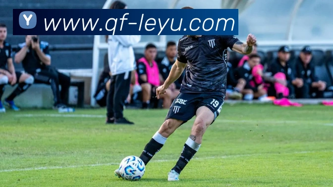 乐鱼体育平台生态图